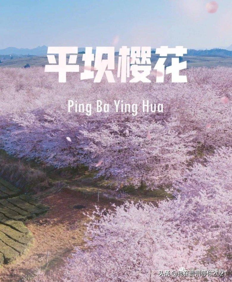 紧急驰援！松江首批捐赠物资运抵镇雄